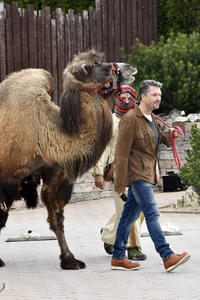 Eröffnung 'Land der Pharanonen' im Legoland in Günzburg