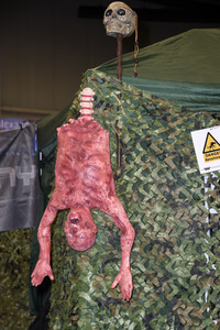 German Comic Con Dortmund 2019