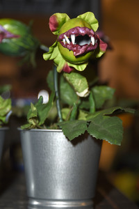 MagicCon 2019 in Bonn