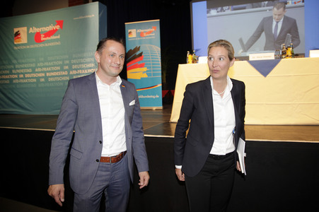 AfD Bundestagsfraktion vor Ort in Görlitz