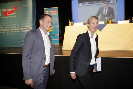 AfD Bundestagsfraktion vor Ort in Görlitz