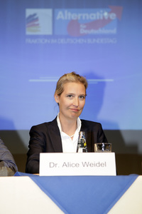 AfD Bundestagsfraktion vor Ort in Görlitz