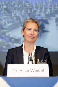 AfD Bundestagsfraktion vor Ort in Görlitz