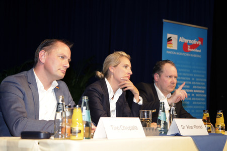 AfD Bundestagsfraktion vor Ort in Görlitz