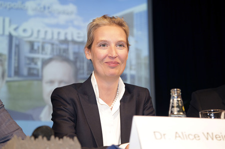 AfD Bundestagsfraktion vor Ort in Görlitz