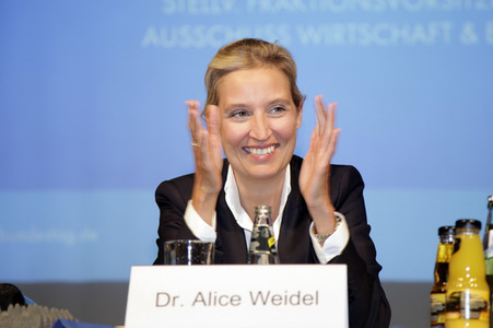 AfD Bundestagsfraktion vor Ort in Görlitz