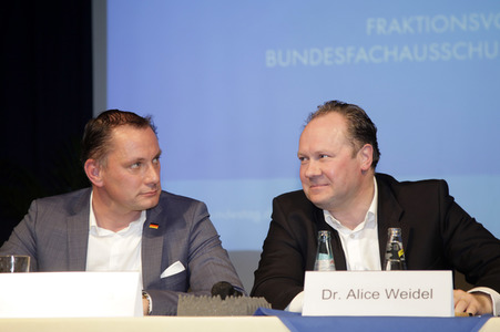 AfD Bundestagsfraktion vor Ort in Görlitz