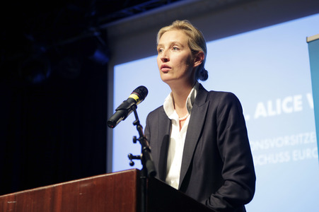 AfD Bundestagsfraktion vor Ort in Görlitz