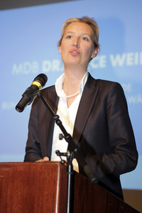 AfD Bundestagsfraktion vor Ort in Görlitz