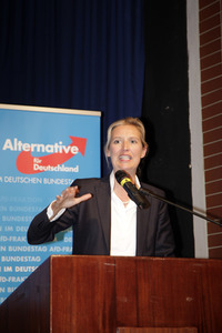 AfD Bundestagsfraktion vor Ort in Görlitz