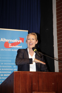 AfD Bundestagsfraktion vor Ort in Görlitz