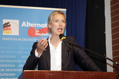 AfD Bundestagsfraktion vor Ort in Görlitz