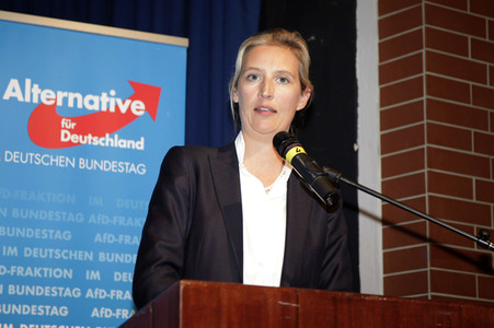 AfD Bundestagsfraktion vor Ort in Görlitz