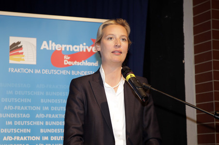 AfD Bundestagsfraktion vor Ort in Görlitz