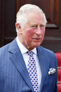 Prinz Charles im Schloss Bellevue in Berlin