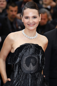 Premiere 'Leid und Herrlichkeit', Cannes Film Festival 2019