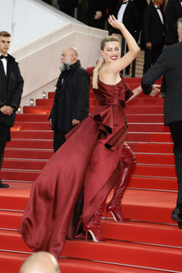 Premiere 'Leid und Herrlichkeit', Cannes Film Festival 2019