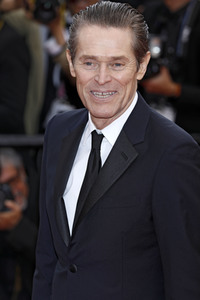 Premiere 'La belle époque', Cannes Film Festival 2019