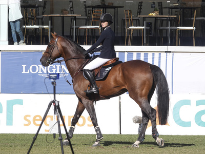 Global Champions Tour 2019 in Madrid