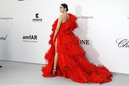 amfAR's Cinema Against Aids Gala, Cannes Film Festival 2019