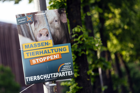 Symbolfoto Europawahl