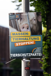 Symbolfoto Europawahl