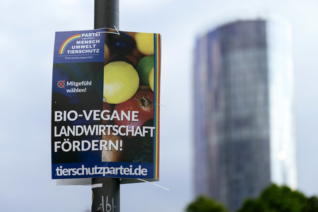 Symbolfoto Europawahl