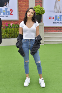 Filmpremiere 'The Secret Life of Pets 2' in Los Angeles