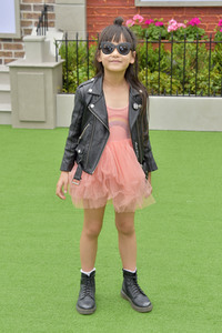 Filmpremiere 'The Secret Life of Pets 2' in Los Angeles