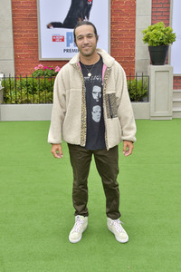 Filmpremiere 'The Secret Life of Pets 2' in Los Angeles