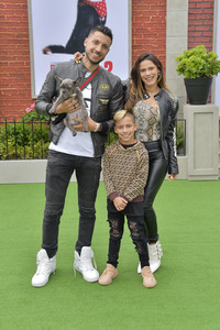 Filmpremiere 'The Secret Life of Pets 2' in Los Angeles