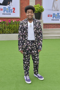 Filmpremiere 'The Secret Life of Pets 2' in Los Angeles