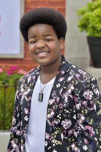 Filmpremiere 'The Secret Life of Pets 2' in Los Angeles