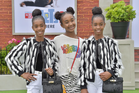 Filmpremiere 'The Secret Life of Pets 2' in Los Angeles