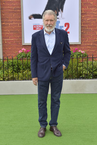 Filmpremiere 'The Secret Life of Pets 2' in Los Angeles