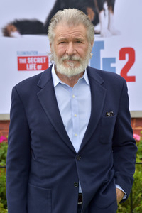 Filmpremiere 'The Secret Life of Pets 2' in Los Angeles