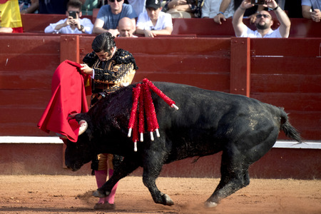 Letzter öffentlicher Auftritt von Juan Carlos I. beim Stierkampf in Aranjuez