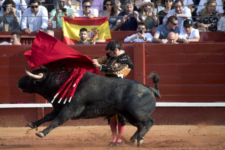 Letzter öffentlicher Auftritt von Juan Carlos I. beim Stierkampf in Aranjuez
