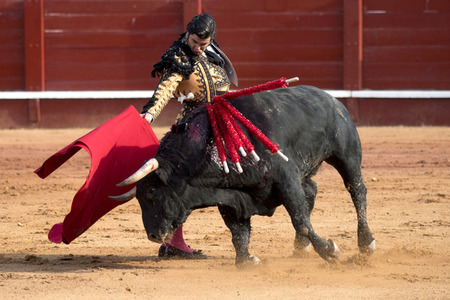 Letzter öffentlicher Auftritt von Juan Carlos I. beim Stierkampf in Aranjuez