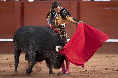 Letzter öffentlicher Auftritt von Juan Carlos I. beim Stierkampf in Aranjuez