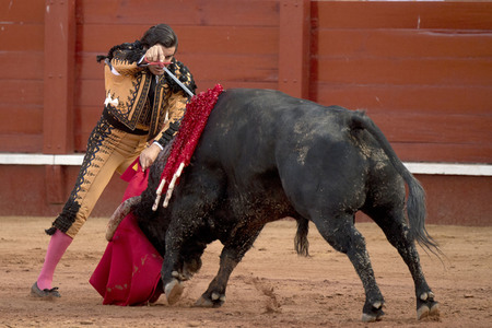 Letzter öffentlicher Auftritt von Juan Carlos I. beim Stierkampf in Aranjuez