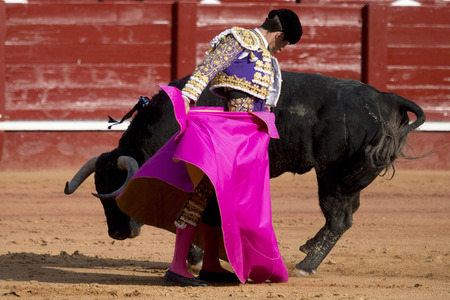 Letzter öffentlicher Auftritt von Juan Carlos I. beim Stierkampf in Aranjuez