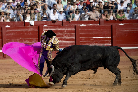 Letzter öffentlicher Auftritt von Juan Carlos I. beim Stierkampf in Aranjuez