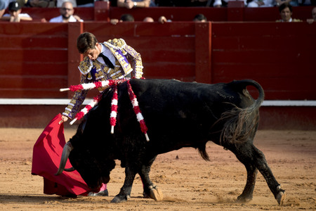 Letzter öffentlicher Auftritt von Juan Carlos I. beim Stierkampf in Aranjuez