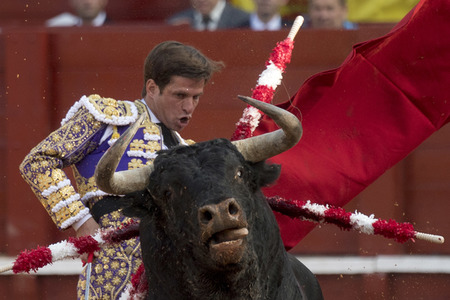 Letzter öffentlicher Auftritt von Juan Carlos I. beim Stierkampf in Aranjuez