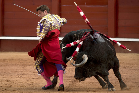 Letzter öffentlicher Auftritt von Juan Carlos I. beim Stierkampf in Aranjuez