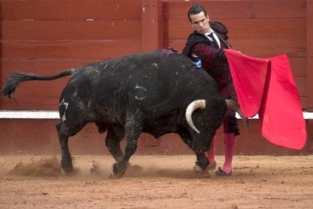 Letzter öffentlicher Auftritt von Juan Carlos I. beim Stierkampf in Aranjuez