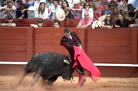 Letzter öffentlicher Auftritt von Juan Carlos I. beim Stierkampf in Aranjuez