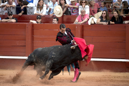 Letzter öffentlicher Auftritt von Juan Carlos I. beim Stierkampf in Aranjuez