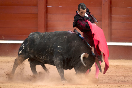 Letzter öffentlicher Auftritt von Juan Carlos I. beim Stierkampf in Aranjuez